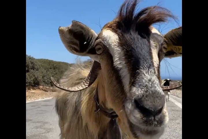 Luxury Off-Road Safari in Crete: Private SUV Tour to Lasithi Plateau & Hidden Villages