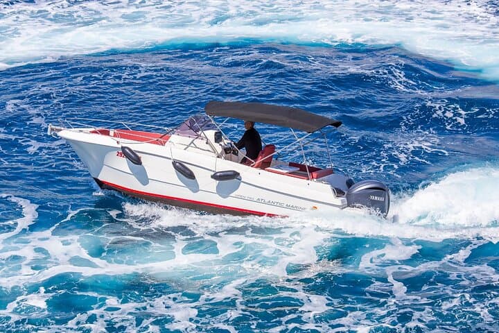 Private Speedboat Tour to Elafiti Islands from Dubrovnik photo 3