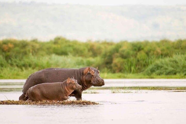 Marloth Park Sunset River Cruise Safari on the Komati & Crocodile Rivers photo 3