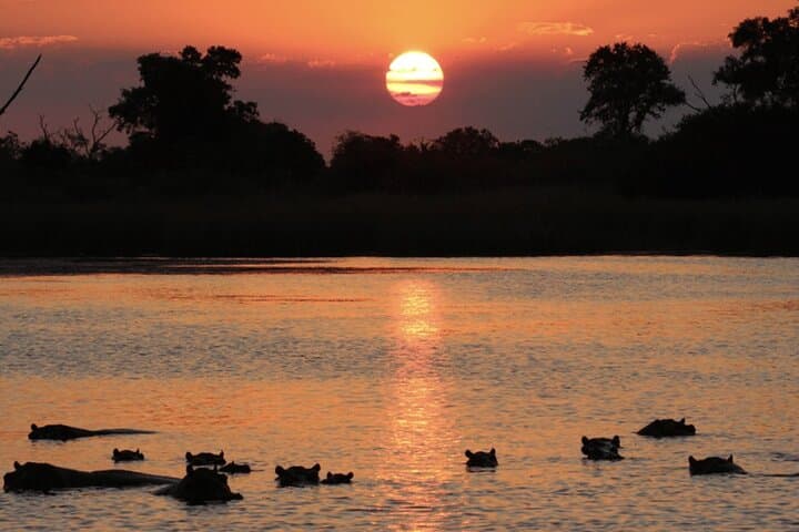 Marloth Park Sunset River Cruise Safari on the Komati & Crocodile Rivers photo 4