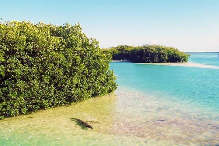 Sian Ka'an Reserve Tour: Boat, Cenotes & Valladolid Day Trip from Playa del Carmen photo 4