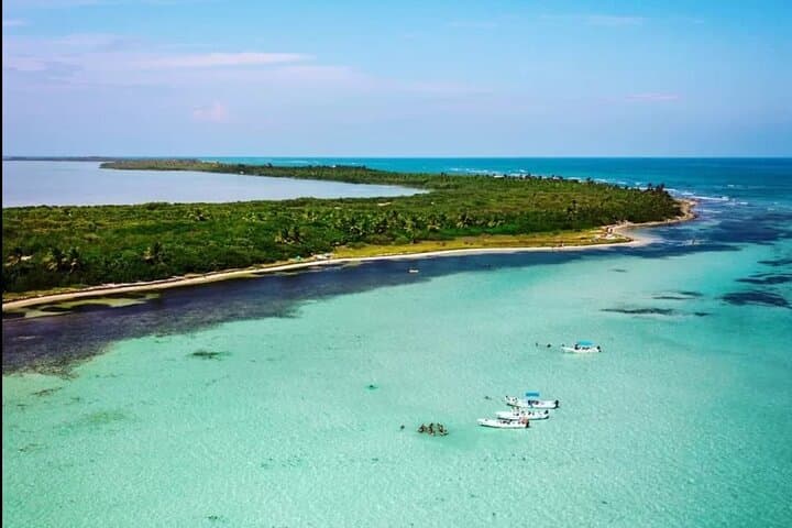 Sian Ka'an Reserve Tour: Boat, Cenotes & Valladolid Day Trip from Playa del Carmen photo 5
