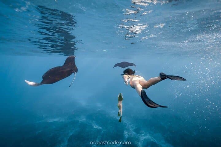 Explore Nusa Penida: Snorkeling with Manta Rays and Island Adventure photo 3