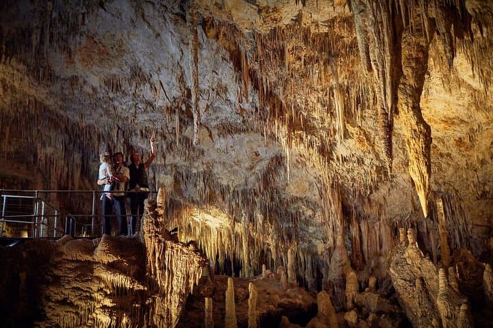 Mammoth Cave Self-Guided Audio Tour — Explore Margaret River's Karri Forest Cavern photo 6