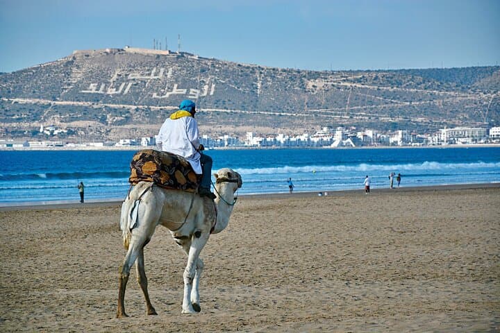 Agadir City Tour: Kasbah, Marina & Souk El Had Cultural Walk photo 2