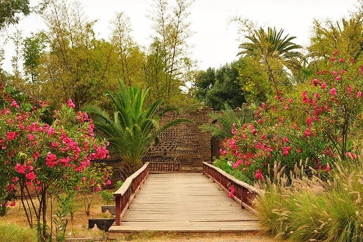Agadir City Tour: Kasbah, Marina & Souk El Had Cultural Walk photo 5