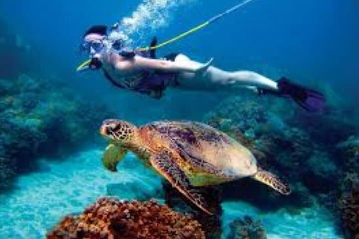 Hookah Diving in Zihuatanejo — Surface-Air Reef Rentals to 12m