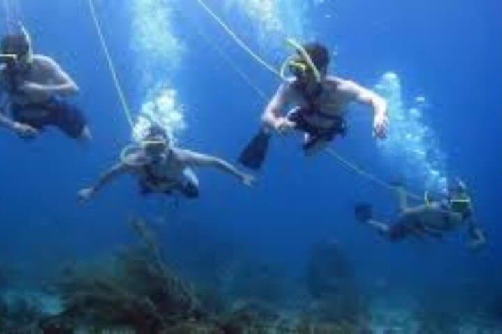 Hookah Diving in Zihuatanejo — Surface-Air Reef Rentals to 12m photo 3