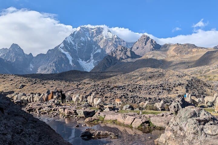 Horseback Riding to Ausangate's 7 Lakes — Full-Day Private Tour from Cusco photo 5