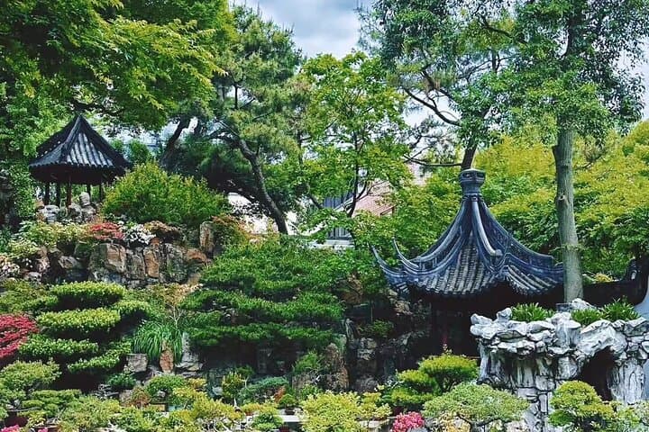Shanghai Private Guide and Language Companion — Personalized 3–6 Hour City Tours photo 3