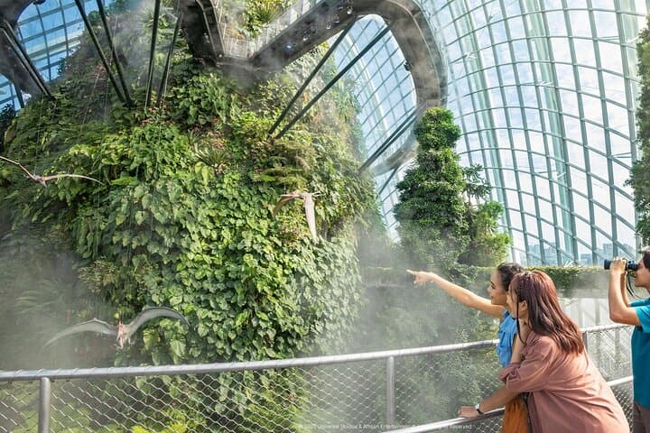 Sky-High Views at Singapore OCBC Skyway and Cloud Forest — Gardens by the Bay Guide photo 6