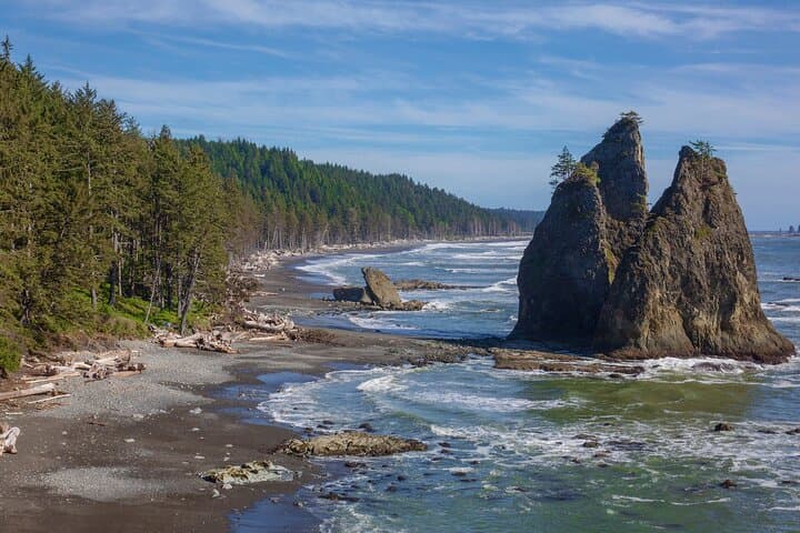 Seattle to Hoh Rain Forest & Rialto Beach: Private Full-Day Tour photo 3