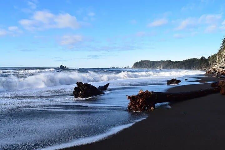 Seattle to Hoh Rain Forest & Rialto Beach: Private Full-Day Tour