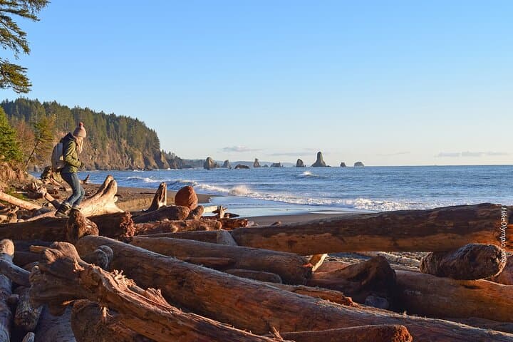 Seattle to Hoh Rain Forest & Rialto Beach: Private Full-Day Tour photo 5