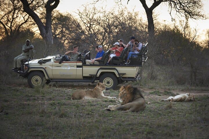 7-Day Luxury Kapama, Kruger & Victoria Falls Safari — Big Five to the Falls