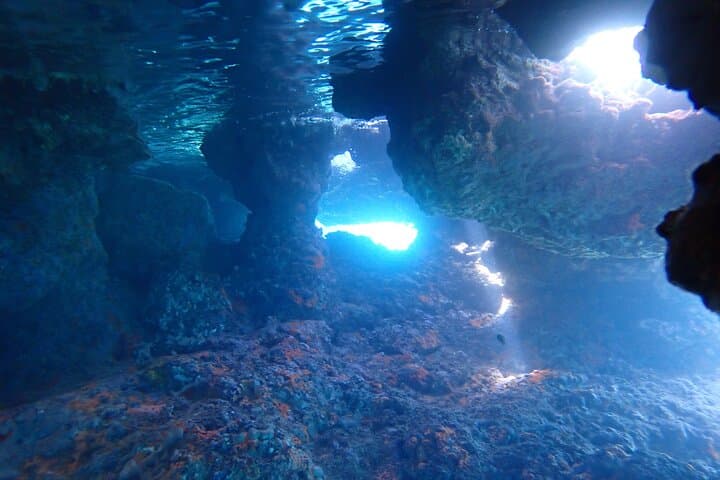 Almyrida Snorkel Trip: Guided Boat Snorkeling from Chania, Crete photo 6