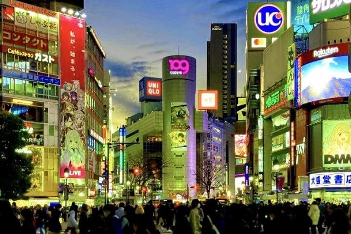 4-Hour Private Night Tour in Shibuya & Shinjuku — Evening Walk with a Local Guide photo 2