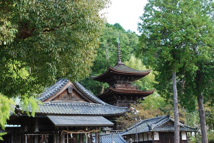 URA*KOBE Thatched-Village Satoyama Walk & Onigiri Experience from Kobe photo 2
