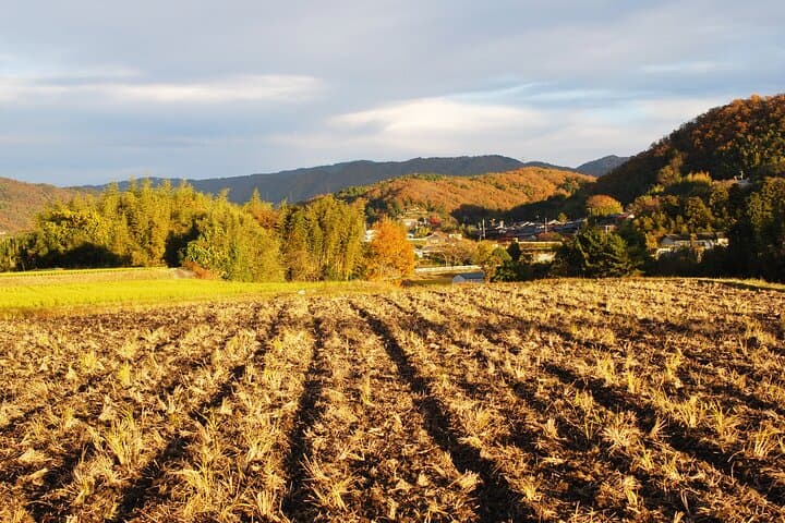 URA*KOBE Thatched-Village Satoyama Walk & Onigiri Experience from Kobe photo 4