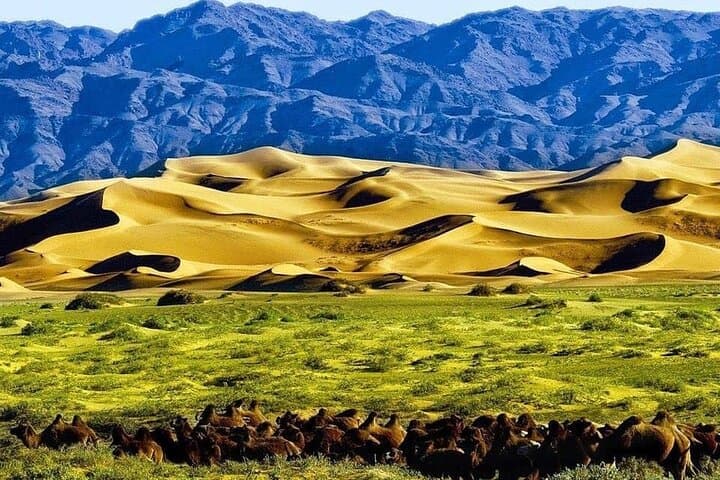 2-Day Private Tour from Ulaanbaatar to Kharkhorin & Elsen Tasarkhai (Mini Gobi) photo 2