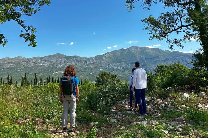 Nordic Walking Through Konavle's Hidden Villages: Komaji to Vignje with Local Brunch
