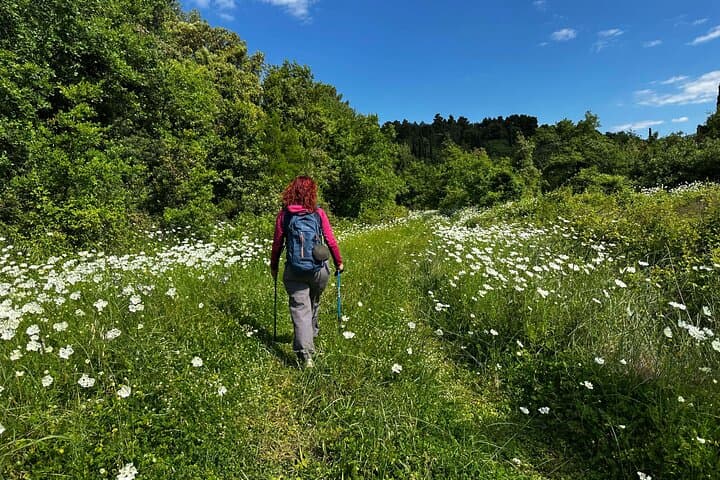 Nordic Walking Through Konavle's Hidden Villages: Komaji to Vignje with Local Brunch photo 2