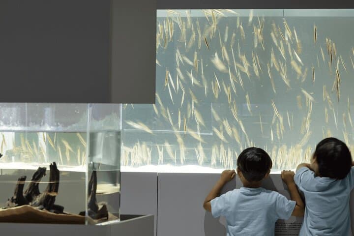 Inside AOAO Sapporo: Urban Aquarium Experience in Hokkaido photo 4