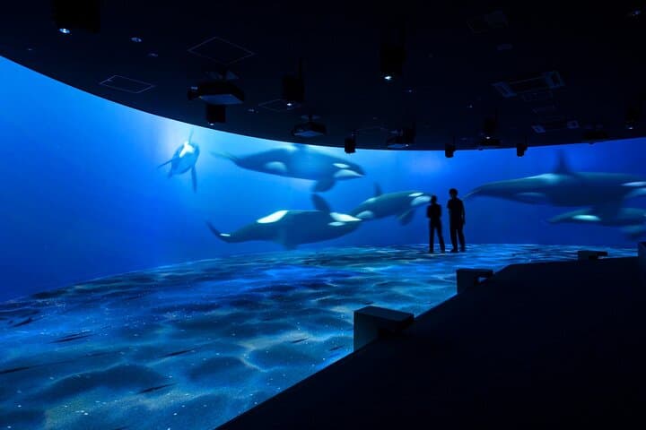 Inside AOAO Sapporo: Urban Aquarium Experience in Hokkaido photo 2