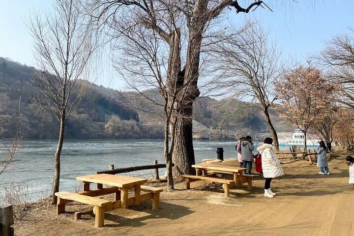 Nami Island & Elysian Ski Resort: Private Day Tour from Seoul photo 4