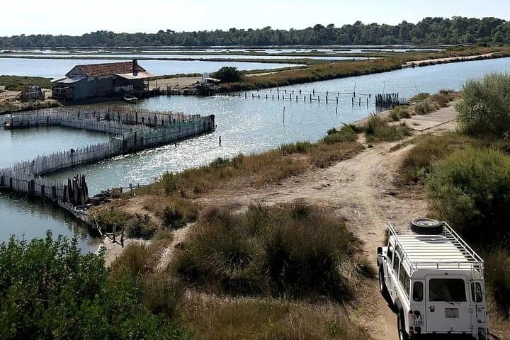 Karavasta Lagoon 4x4 Jeep Safari from Tirana: Pelicans and Dunes Day Trip