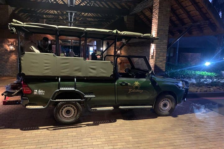 One-Day Kruger Safari from Mbombela — Big Five Game Drives & Lowveld Views photo 4