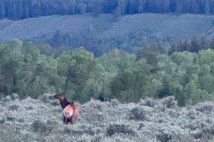 Grand Teton Sunrise Scenic Tour: Best Sunrise Viewpoints & Photography Tips photo 2