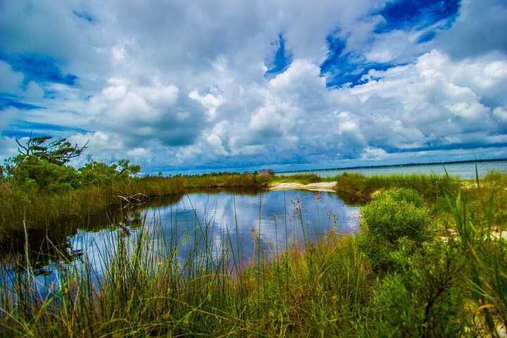 Pensacola Beach Fort Pickens Dolphin Cruise Tour — Fort History and Dolphin Watching photo 3