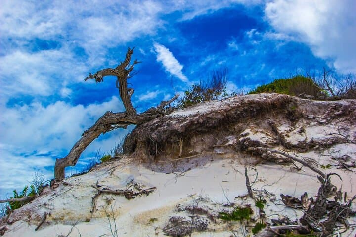 Pensacola Beach Fort Pickens Dolphin Cruise Tour — Fort History and Dolphin Watching photo 4