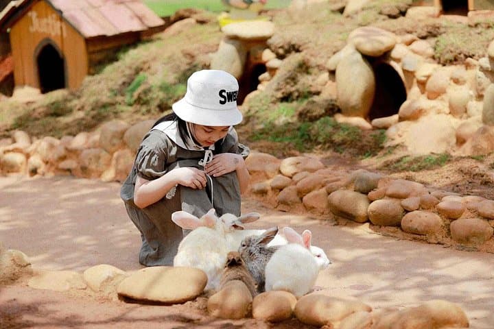 Dalat Countryside Go-Kart & Mongoland Day Tour — Coffee Plantations, Pagoda Views & Elephant Falls photo 4