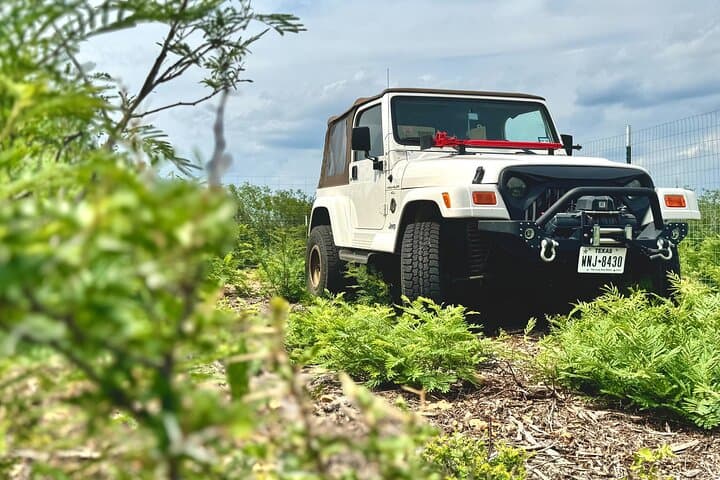 medina-river-valley-jeep-tour-castroville-texas photo 2