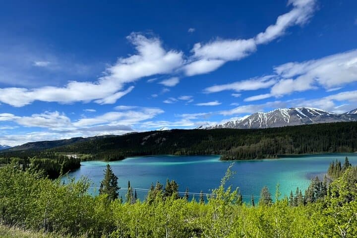 Exploring Emerald Lake and Yukon Huskies: A Full-Day Alaskan Adventure photo 2