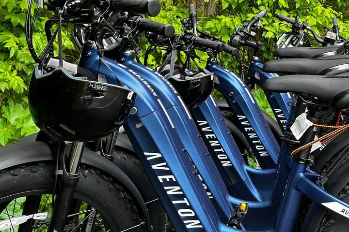 Sitka E-Bike Rentals — Self-Guided Coastal Rides & Wildlife Viewing