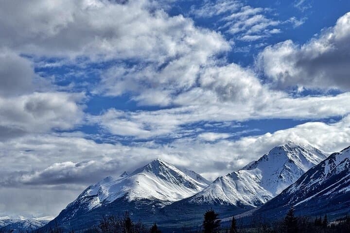 Exploring Emerald Lake and Yukon Huskies: A Full-Day Alaskan Adventure photo 3