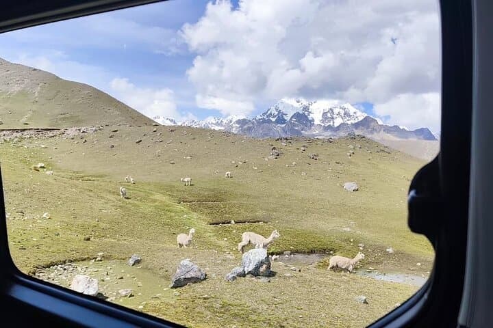 Singrenacocha Lagoon Hike from Cusco: Turquoise High-Andes Lake & Ausangate Views photo 5