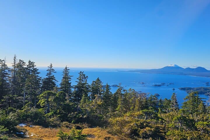 Sitka E-Bike Rentals — Self-Guided Coastal Rides & Wildlife Viewing photo 5