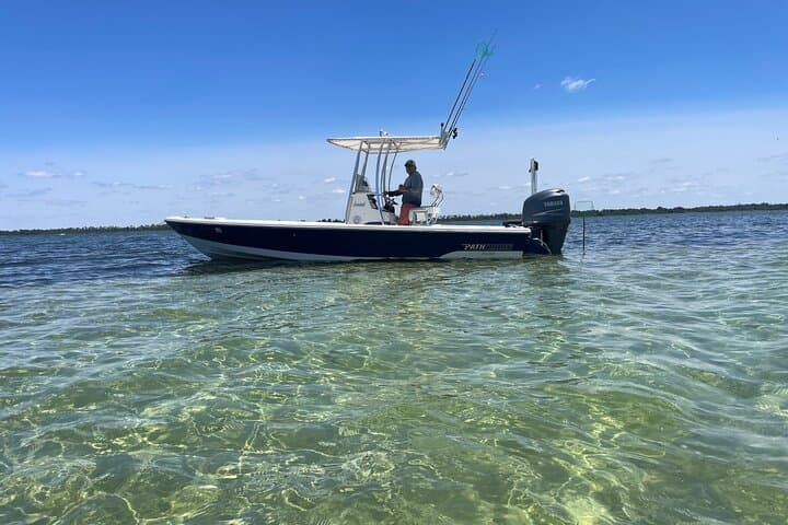 Panama City Beach Dolphin & Shell Island Eco Tour — Half-Day Boat Excursion