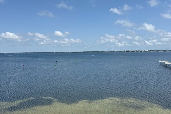 Panama City Beach Dolphin & Shell Island Eco Tour — Half-Day Boat Excursion photo 2