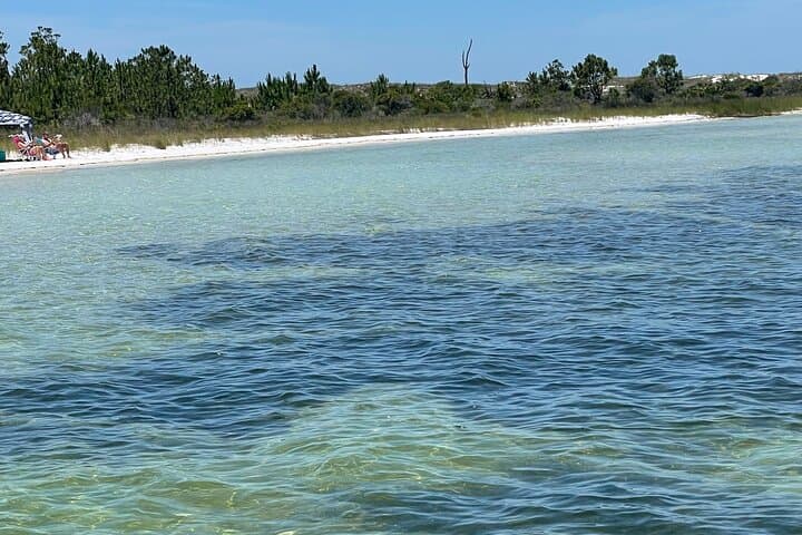 Panama City Beach Dolphin & Shell Island Eco Tour — Half-Day Boat Excursion photo 3
