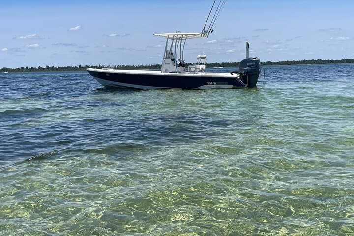 Panama City Beach Dolphin & Shell Island Eco Tour — Half-Day Boat Excursion photo 4