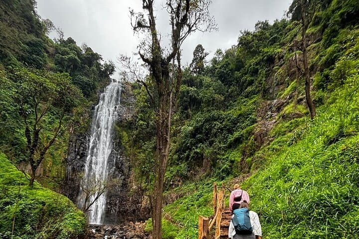 Materuni Waterfalls, Coffee & Maasai Village Day Trip from Arusha photo 5