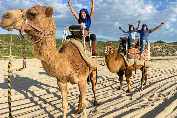 Private ATV and Camel Ride on Migrino White-Sand Beach — Cabo San Lucas