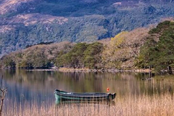 Private Day Tour: Blarney Castle, Killarney & Kenmare — Cork to Kerry Coastal Views photo 6