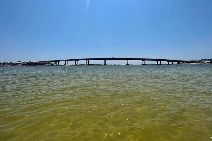 Luxury Pontoon Boat Rental in Orange Beach — Bays, Dolphins & Island Hopping photo 1