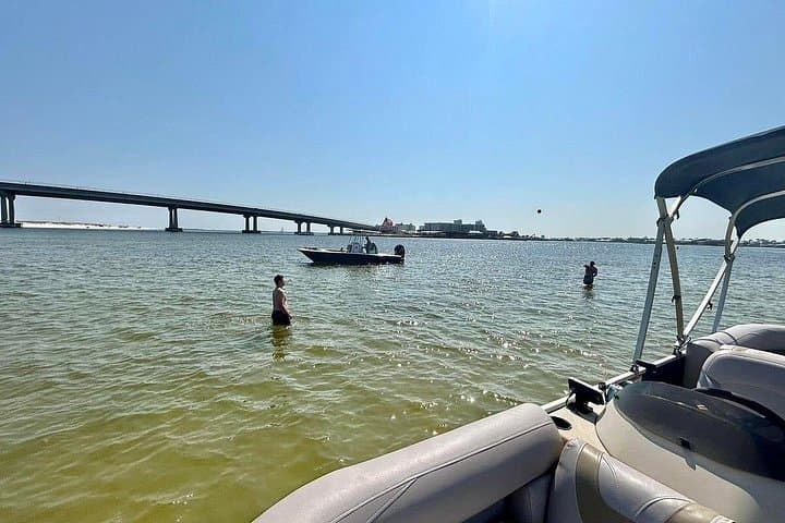 Luxury Pontoon Boat Rental in Orange Beach — Bays, Dolphins & Island Hopping photo 2